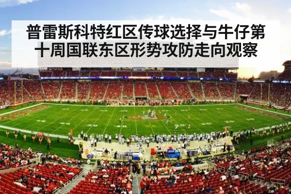 NFL stadium crowd game action