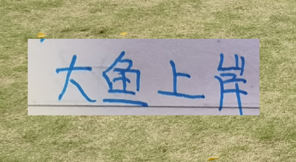 开云电竞大平台-海港本土大鱼上岸了！新赛季前2轮转正不在话下吗？